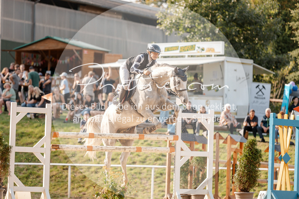3I6A5121 | Stimmungsvolle Portraits und Reitsportfotografie im Ruhrgebiet und im Münsterland.

Pferdefotografie, Hundefotografie, Tierfotografie, Reportagen, Portraits von Tier und Mensch, Turnierfotografie in Bochum, Recklinghausen, Marl, Haltern am See, Dülmen.. - Realisiert mit Pictrs.com