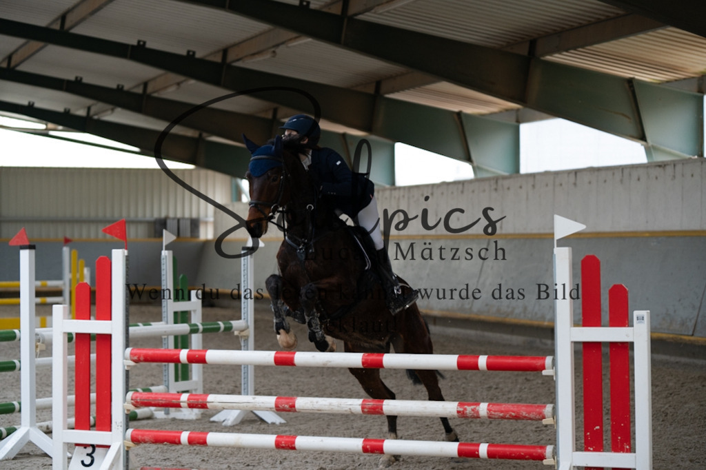 A7V03818 | Pferdefotograf