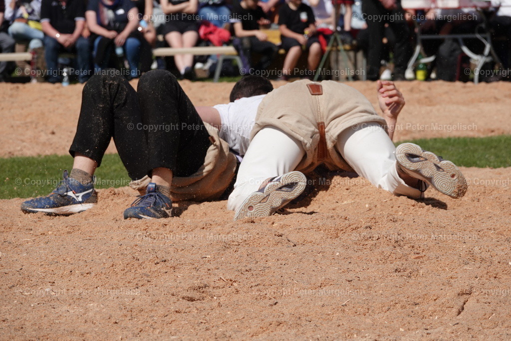 DSC02334 | Schwingen - Realisiert mit Pictrs.com
