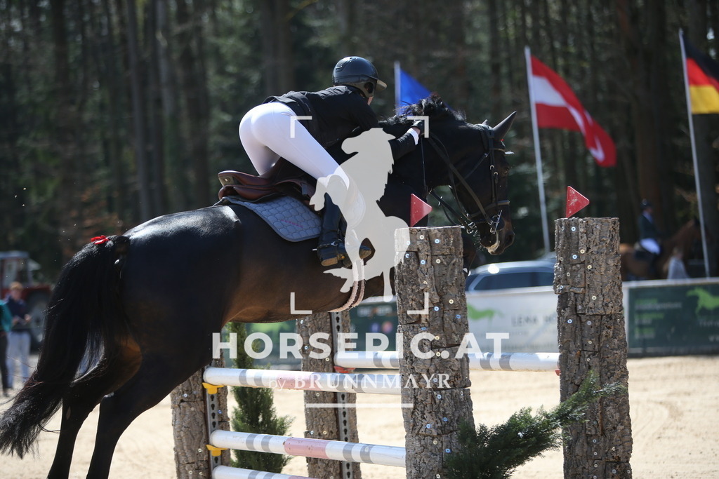 PP014103 | Willkommen bei Brunnmayr - Design & Fotografie – Ihrem Spezialisten für Reitturniere und Pferdeveranstaltungen in Oberösterreich, Salzburg und Bayern! Seit über 17 Jahren sind wir leidenschaftlich dabei.