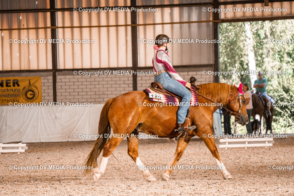 ZH100655 | dv-media-shop - Realisiert mit Pictrs.com