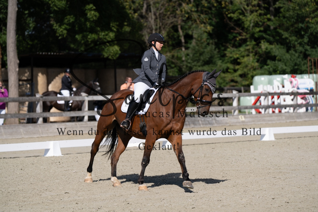 A7V07017 | Turnier/Reitfotograf