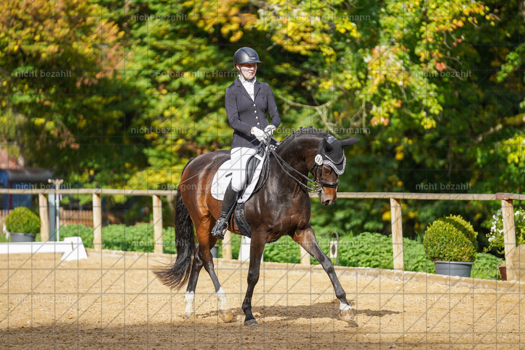 20221007-FAH09962 | Diessen am Ammersee, 2022, Dressur- und Springturnier, Reitsportbilder, Turnierfotografen Bayern, Pferdefotografen, Fotoagentur Herrmann, Turnierbilder