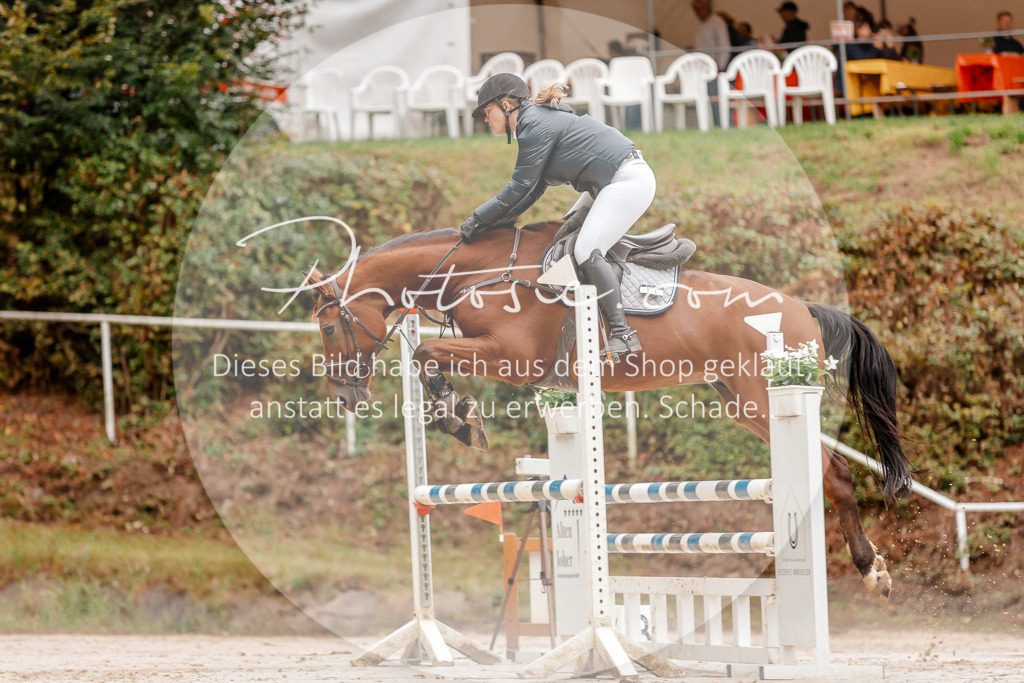 3I6A5850 | Stimmungsvolle Portraits und Reitsportfotografie im Ruhrgebiet und im Münsterland.

Pferdefotografie, Hundefotografie, Tierfotografie, Reportagen, Portraits von Tier und Mensch, Turnierfotografie in Bochum, Recklinghausen, Marl, Haltern am See, Dülmen.. - Realisiert mit Pictrs.com