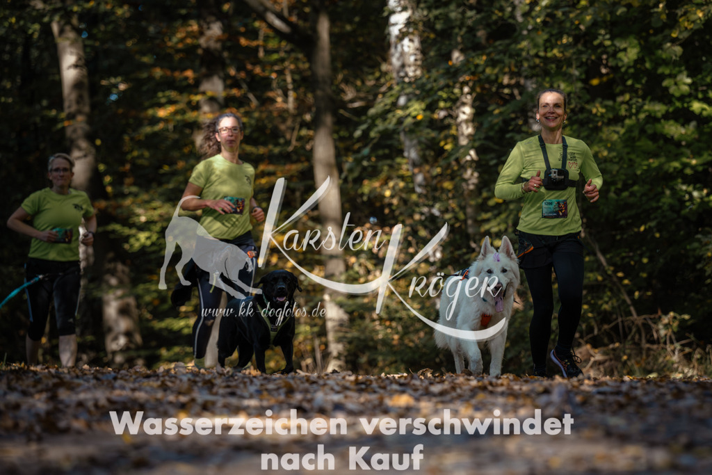 1121_ZZ92070 | kk-dogfotos