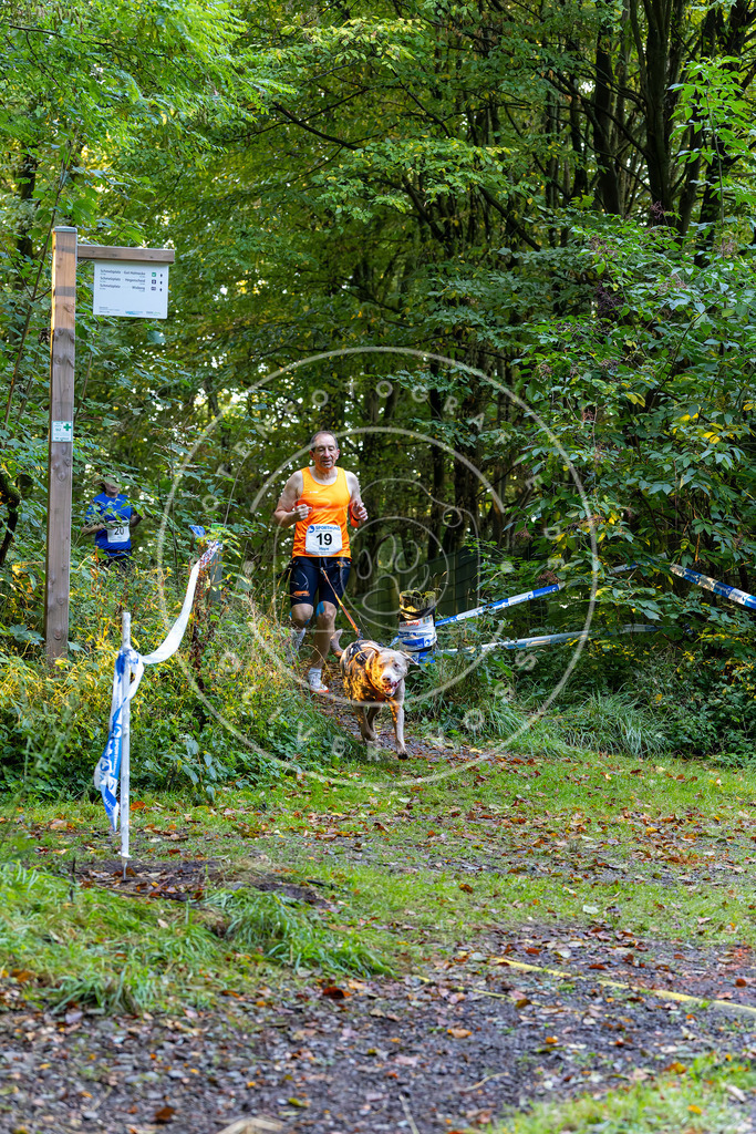 Pfotenfotografie_DV3A6417 | Hundefotografie, Tierfotograf, Pfotenfotografie, Fotoshooting Hund, Hunde Portrait, Hundesport, Hundeportraits, Heideshooting, Hunde, Sportfotograf, Hundefotograf, Turnierhundsport, THS,  - Realisiert mit Pictrs.com
