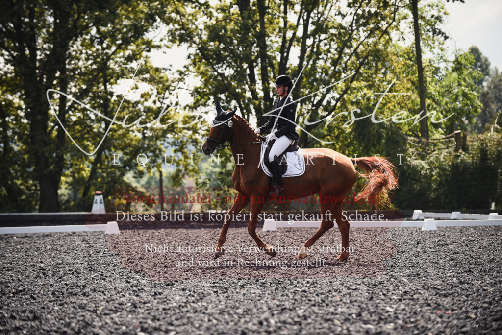 DSC_4067 | Pferde- und Turnierfotografie in Westsachsen. Pferdeportraits, Auftragszeichnungen und intuitive Kunst.
