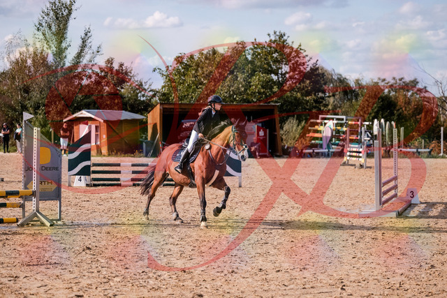 2026_10_03_Siefer-Hof_154651_Z81_65810647 | Professionelle Reitsport-, Turnier- und Eventfotografie von Robert Broda. Galerien mit ausgewählten und bearbeiteten Bildern direkt online ansehen und bestellen.