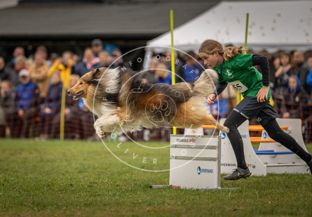 Pfotenfotografie_DV3A6638 | Hundefotografie, Tierfotograf, Pfotenfotografie, Fotoshooting Hund, Hunde Portrait, Hundesport, Hundeportraits, Heideshooting, Hunde, Sportfotograf, Hundefotograf, Turnierhundsport, THS,  - Realisiert mit Pictrs.com