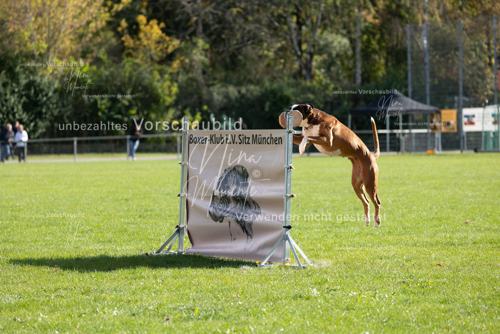 _16A6944 | Einzigartige Fotos von Hunden & Menschen –Actionfotos, Portraits, Vereinsaufnahmen & Paarshootings – authentisch, lebendig & mit Herz.