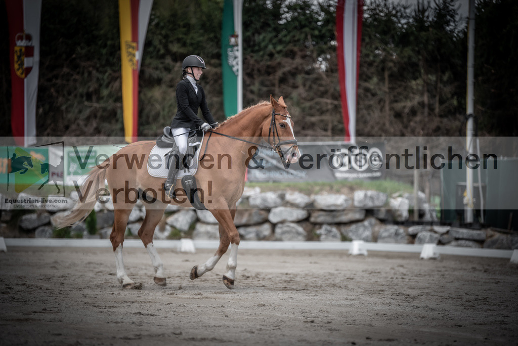 DSC_2653 | equestrian-live-com