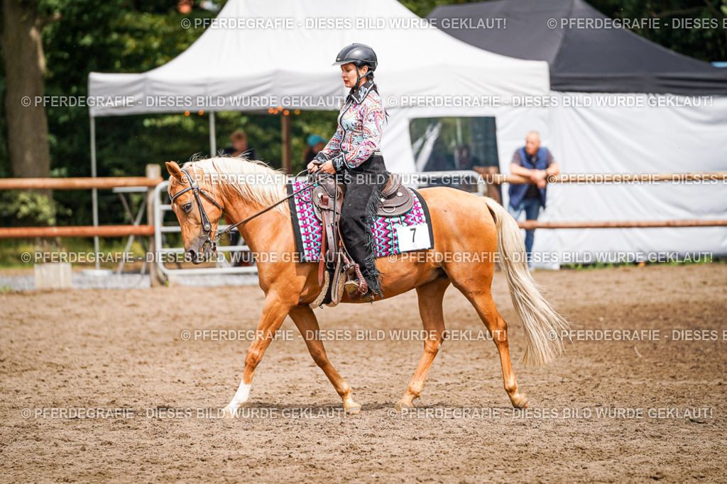 DSC04644 | Pferdegrafie