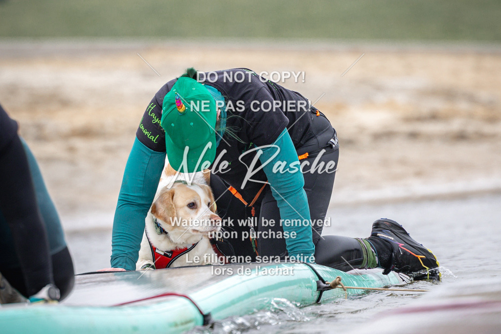nelerasche_Hulsbeek_Sa0845-1030_469 | nelerasche