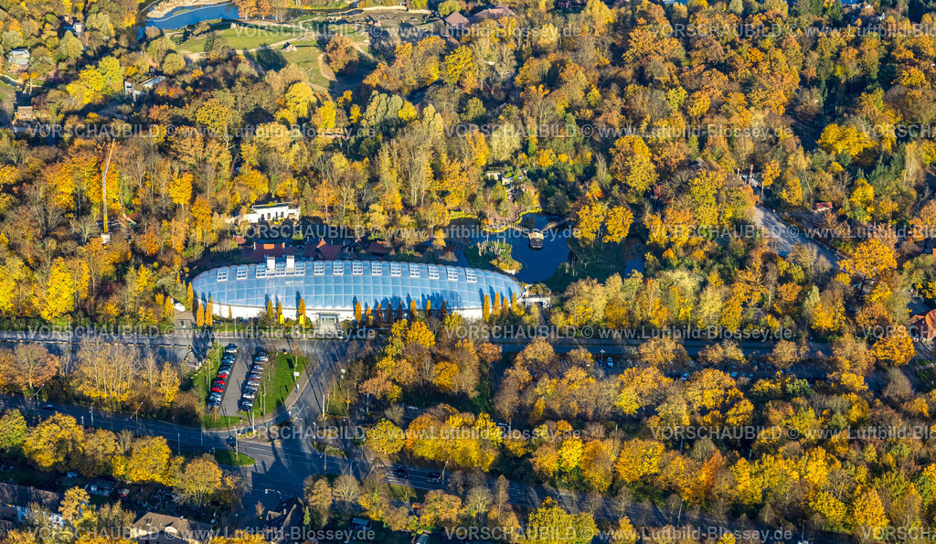 Gelsenkirchen251103241 | Luftbild, Zoo Zoom Erlebniswelt, langgezogenes Gebäude mit Drachenland und ELE Tropenparadies, herbstliche Bäume, Bismarck, Gelsenkirchen, Ruhrgebiet, Nordrhein-Westfalen, Deutschland