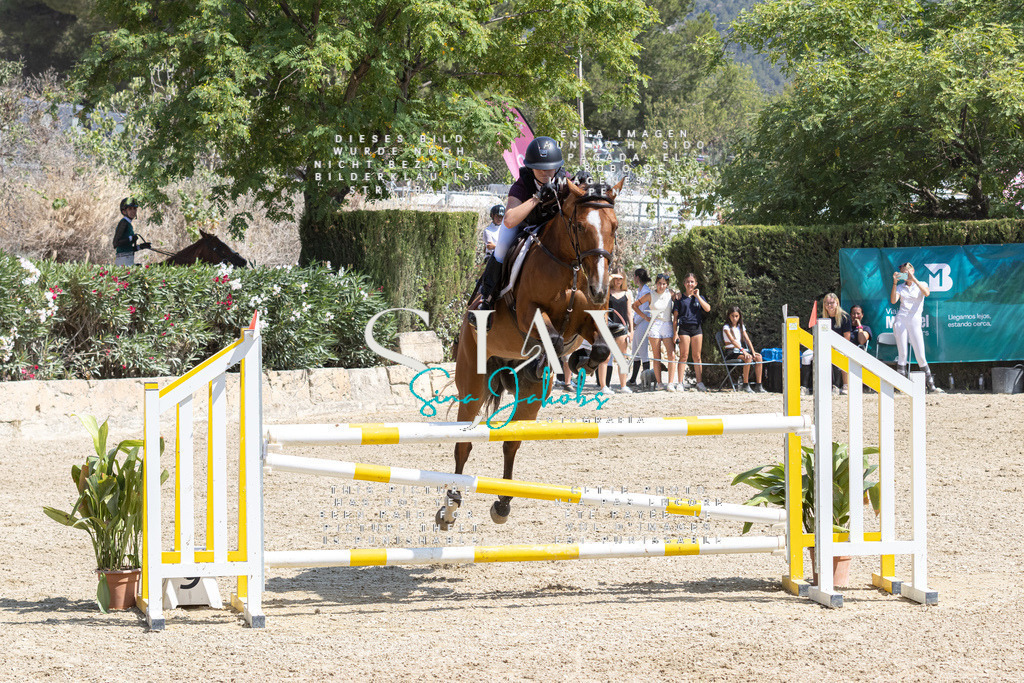 IMG_3515 | s-jay-photography - Realisiert mit Pictrs.com