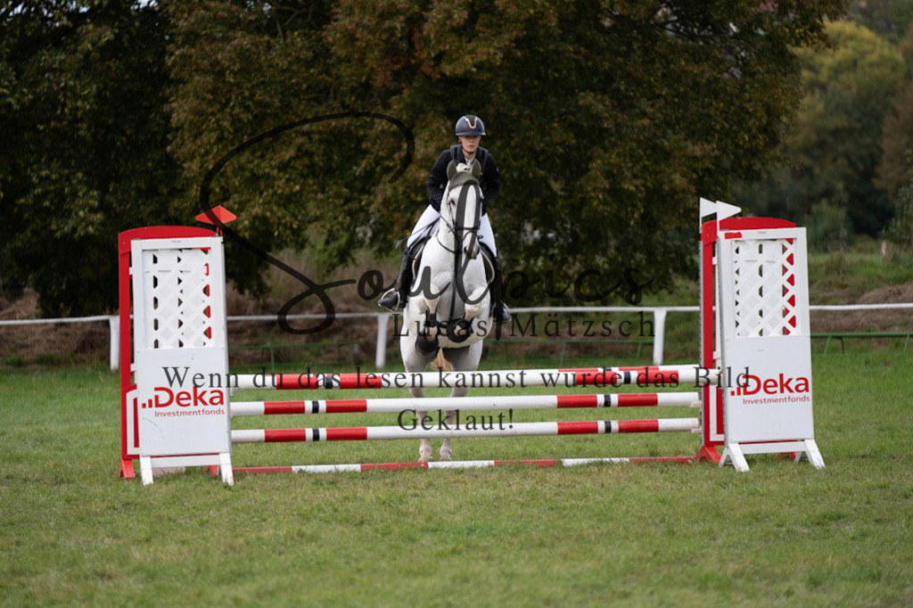 A7V06391 | Pferdefotograf