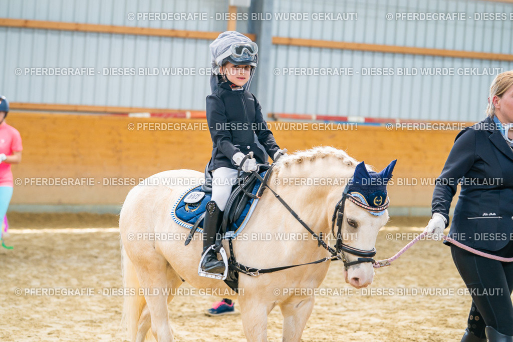 DSC00751 | Pferdegrafie