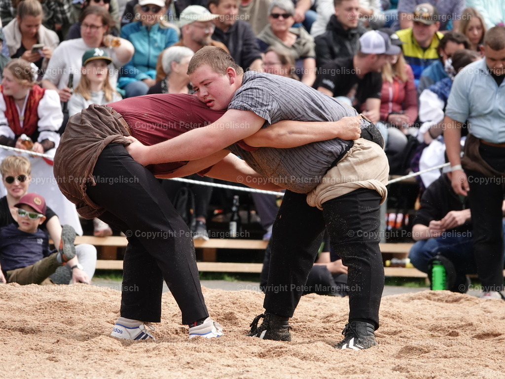 DSC07246 | Schwingen - Realisiert mit Pictrs.com