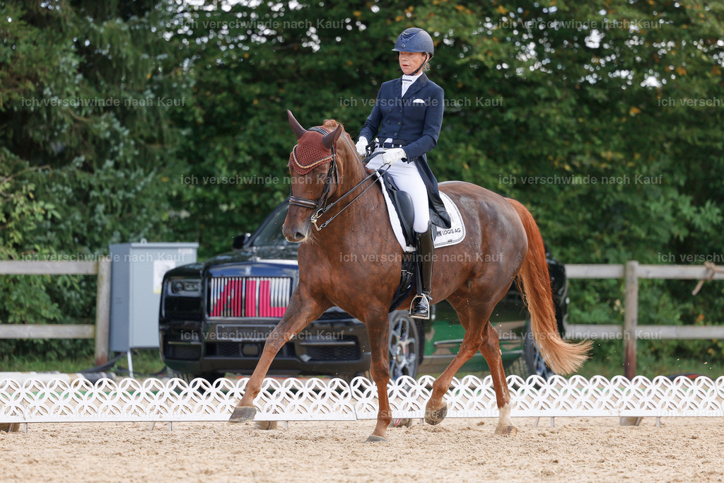 09_2-094-DRESSUR  S_  -StoibPH-5861 | working equitationturnier fotograf videograf stoibphotography marixx film working equitation deutschland reitsport turnierfotografie eventfotografie equestrian events