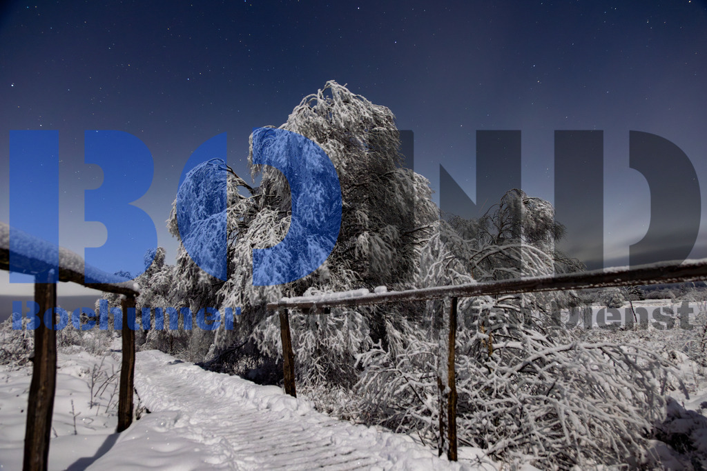 Hohes Venn bei Nacht im Schnee {date} -  | {headline}



(Foto: Sebastian Sendlak / BOND)

 - Realisiert mit Pictrs.com