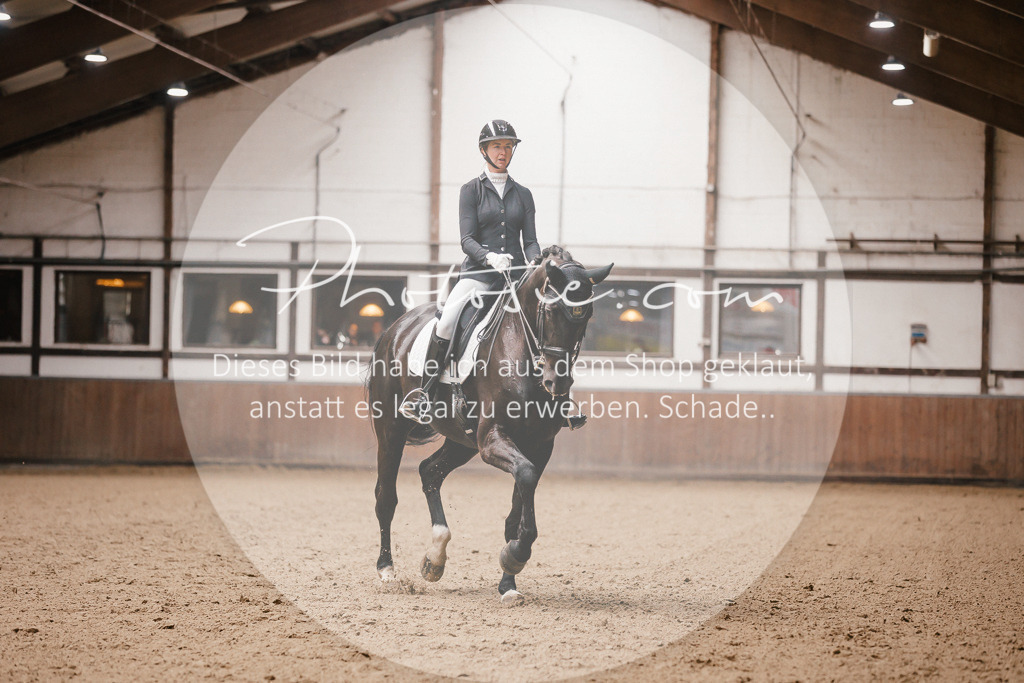 3I6A8986 | Stimmungsvolle Portraits und Reitsportfotografie im Ruhrgebiet und im Münsterland.

Pferdefotografie, Hundefotografie, Tierfotografie, Reportagen, Portraits von Tier und Mensch, Turnierfotografie in Bochum, Recklinghausen, Marl, Haltern am See, Dülmen.. - Realisiert mit Pictrs.com