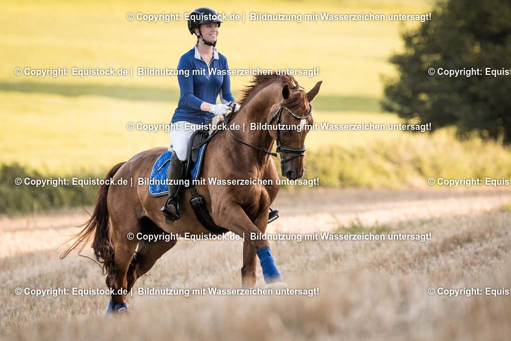 TS_20170814_Stoppelfeld_Reiten_0006 | Foto: Thomas Hartig