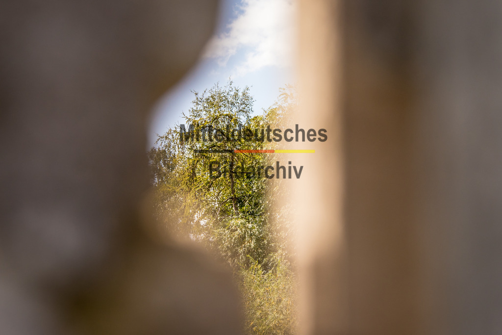 innerdeutsche Grenze Grünes Band Hötensleben-7533 | Die innerdeutsche deutsch-deutsche Grenze, das Grüne Band - Realisiert mit Pictrs.com