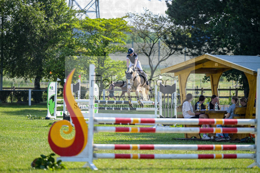 Reitturnier Voxtrup | Entdecke hochwertige Reitturnierfotos von Foto Oger. Professionell, emotional und authentisch – jetzt Lieblingsmomente im Shop bestellen.Deutschlandweite Turnierfotografie. - Realisiert mit Pictrs.com