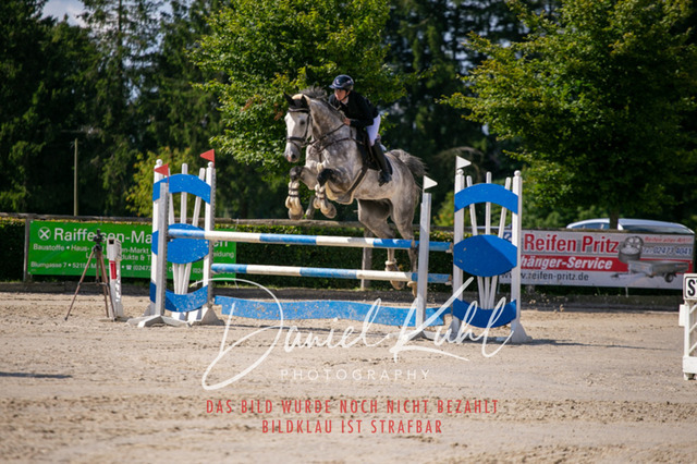 IMG_5445 | Turniersportfotografie; Pferdefotografie; Dressurfotografie