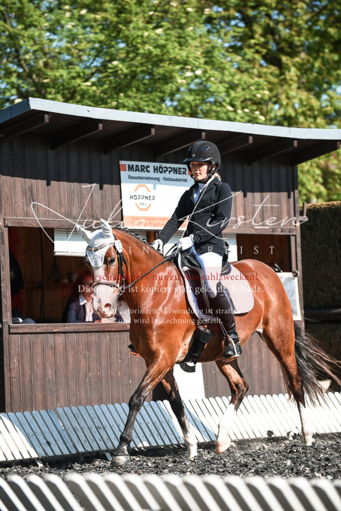 DSC_8717 | Pferde- und Turnierfotografie in Westsachsen. Pferdeportraits, Auftragszeichnungen und intuitive Kunst.