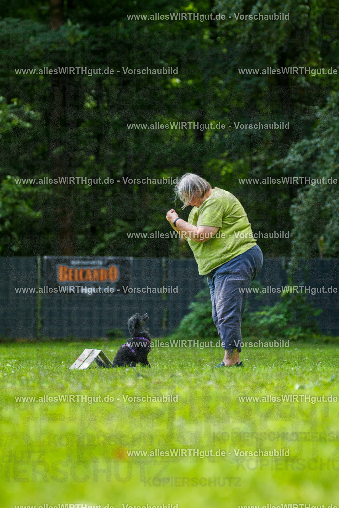@allesWIRTHgut_Tierfotografie - www.allesWIRTHgut.de - 7R501010 | Professionelle Tierfotografie in Mönchengladbach von Daniel Wirth (allesWIRTHgut). Liebevolle & natürliche Bilder von Hunden & Katzen für unvergessliche Erinnerungen.