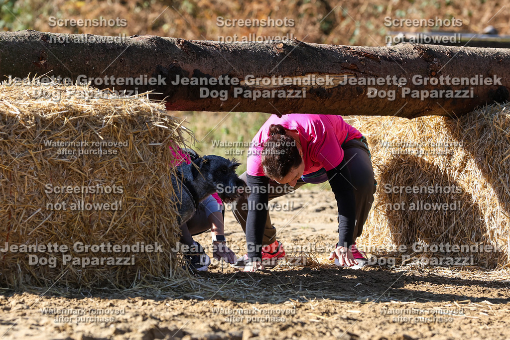 Dog Paparazzi - Strongdog 10-25-2862 | Dog Paparazzi Jeanette Grottendiek Fotografie & Videografie - Realisiert mit Pictrs.com