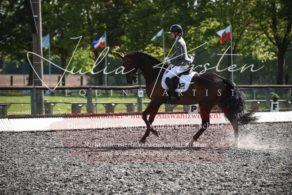 DSC_8960 | Pferde- und Turnierfotografie in Westsachsen. Pferdeportraits, Auftragszeichnungen und intuitive Kunst.