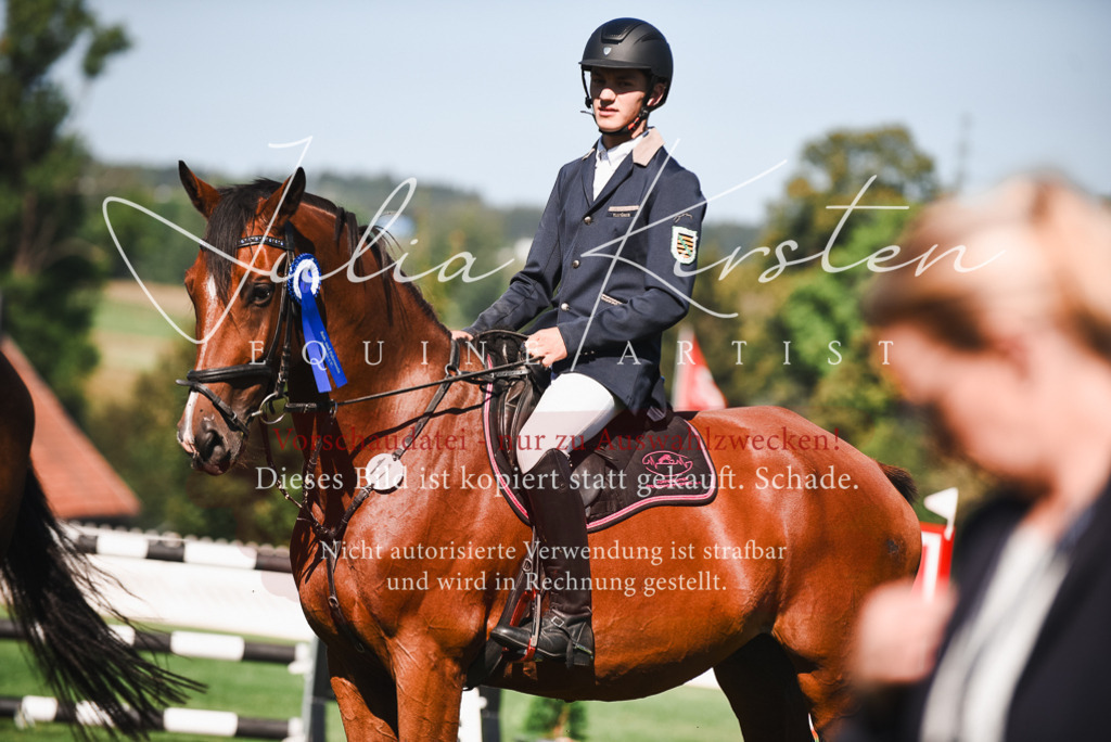 DSC_2637 | Pferde- und Turnierfotografie in Westsachsen. Pferdeportraits, Auftragszeichnungen und intuitive Kunst.