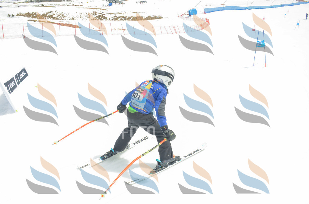 _ELE8252 | holidayphoto