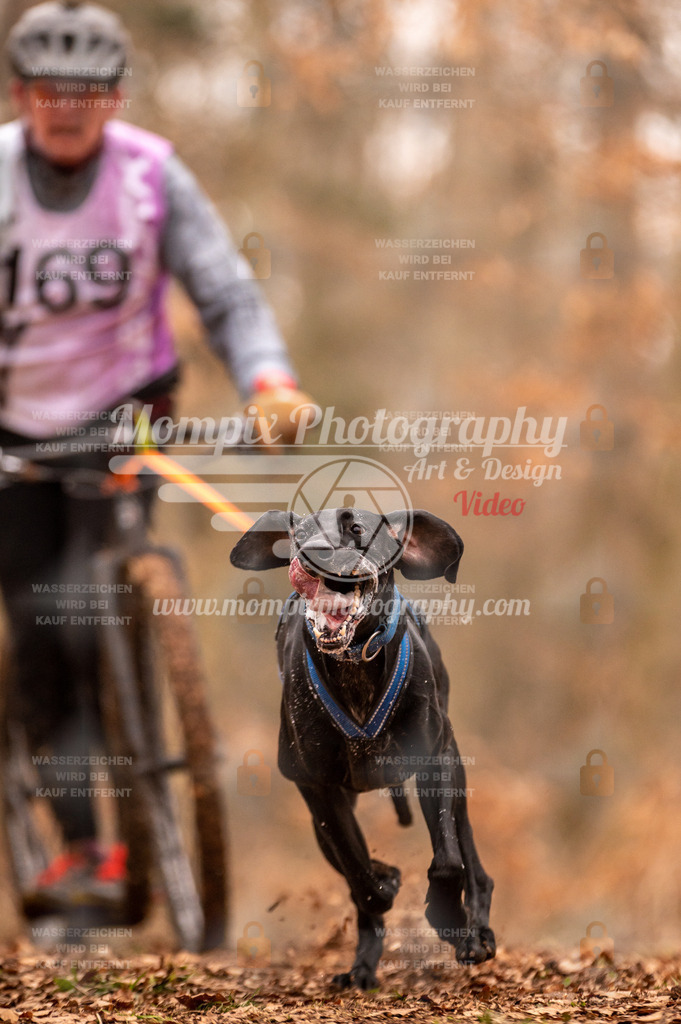 AKM_ST_2023_SAM_Scooter-36 | PayLife