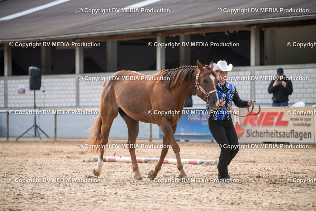 EWP_5569 | dv-media-shop - Realisiert mit Pictrs.com