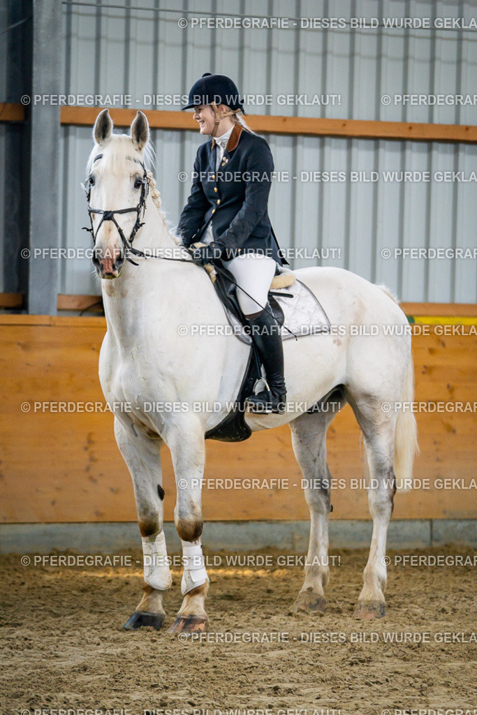 DSC00771 | Pferdegrafie