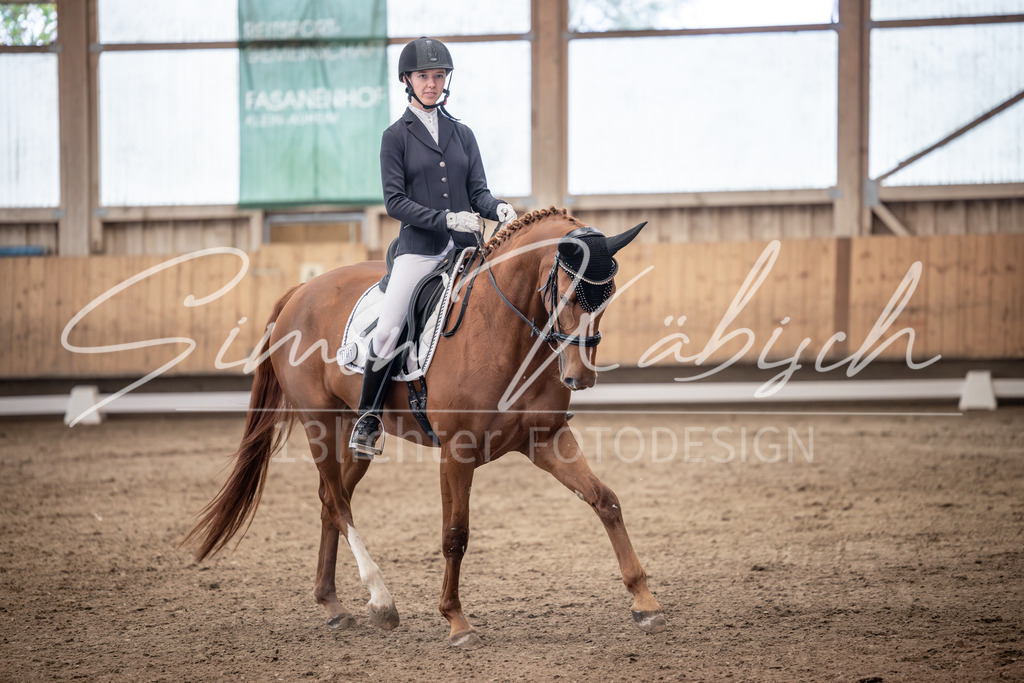 20251011-_3LI0212 | Tierfotografie Pferde, Hunde, Katzen, Haustiere.
Turnierfotografie Reitturniere, Reiten, Springreiten, Dressur in Hanau, dem Main-Kinzig-Kreis und dem Rhein-Main- Gebiet um Frankfurt