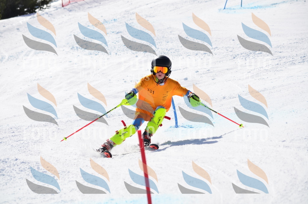 C9667 | holidayphoto