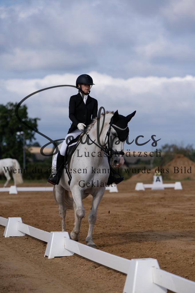 A7V05150 | Pferdefotograf