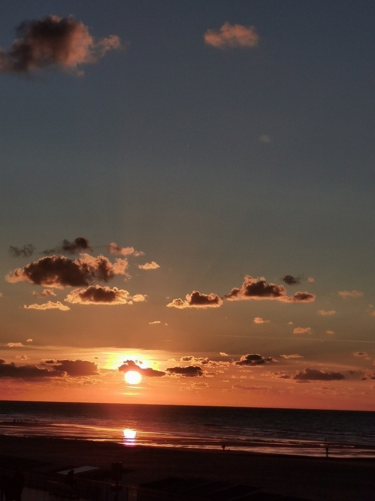 IMG_20240928_192200 | Pandiboo - Realisiert mit Pictrs.com