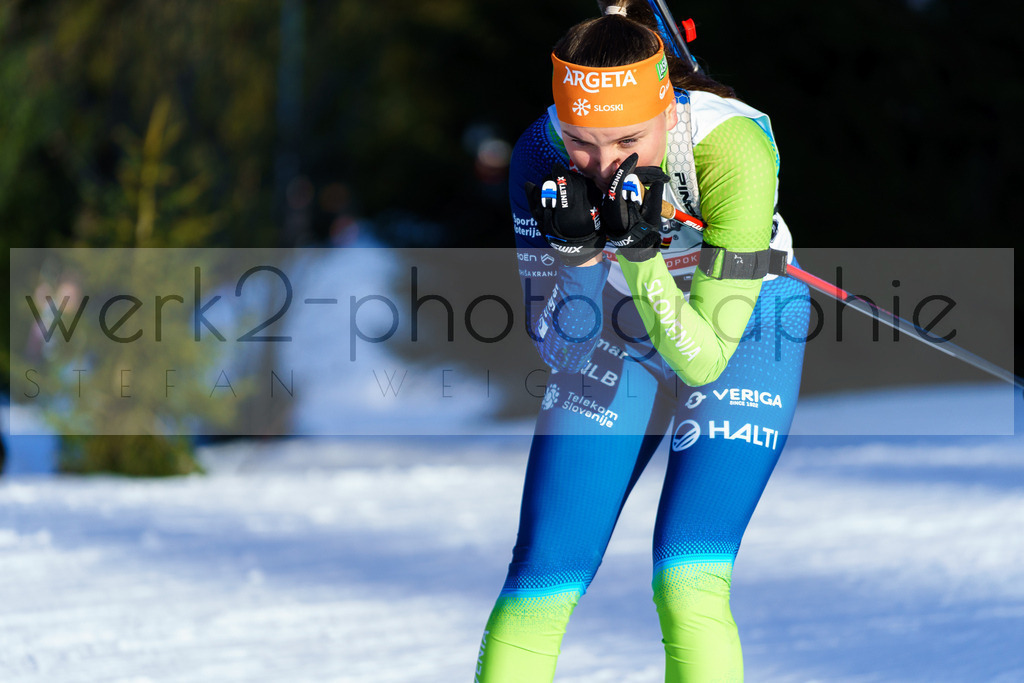 DP Oberwiesenthal | Alpencup/DP Deutschlandpokal in Oberwiesenthal am 15.-17.12.2023