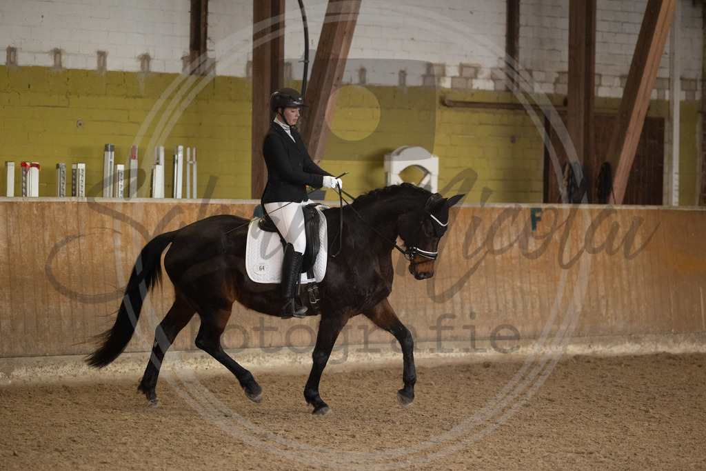 994A8984 | sabrinanicolaifotografie - Realisiert mit Pictrs.com