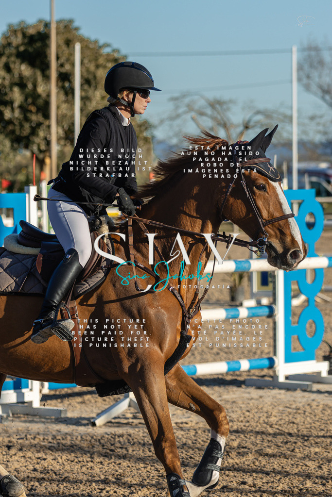 IMG_2492 | s-jay-photography - Realisiert mit Pictrs.com