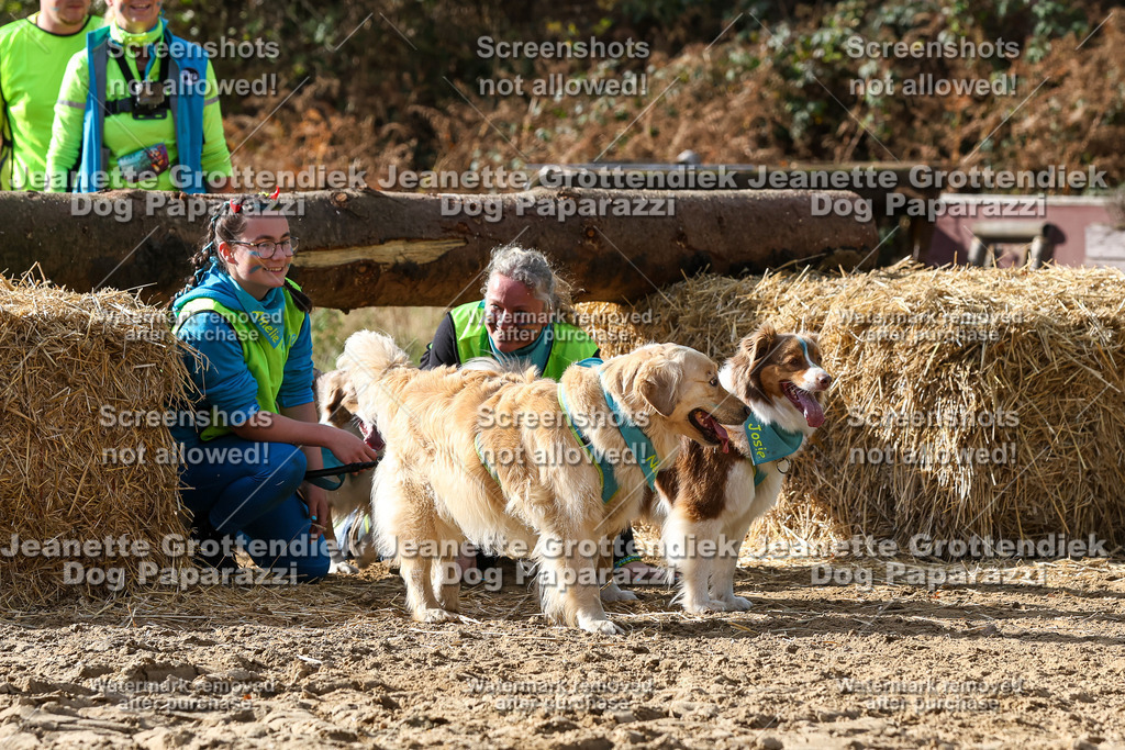 Dog Paparazzi - Strongdog 10-25-5591 | Dog Paparazzi Jeanette Grottendiek Fotografie & Videografie - Realisiert mit Pictrs.com