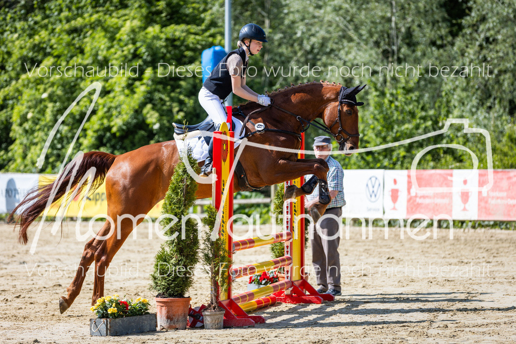 Donop24-ESpr-061 | MomenTaufnahmen Pferdesportfotos