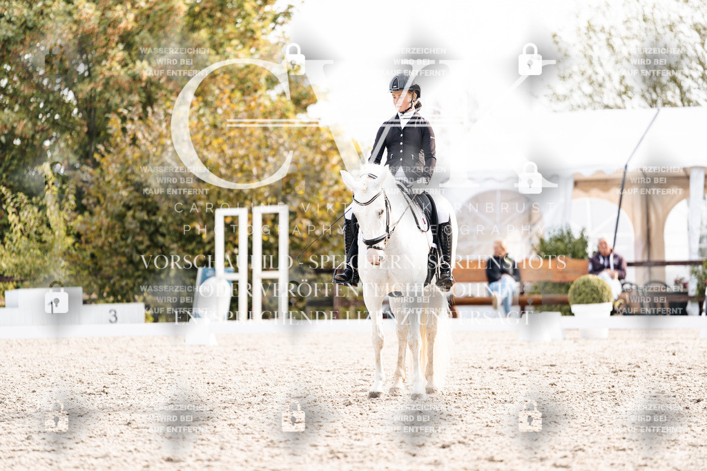 CK901186 | Turnierfotografie Pferdefotografie Trier Rheinland-Pfalz Pferdesport Reitsport Tierfotografie Sportfotografie Pferdevideo Pferdevideografie Equestrianvideography equestrianphotography  - Realisiert mit Pictrs.com