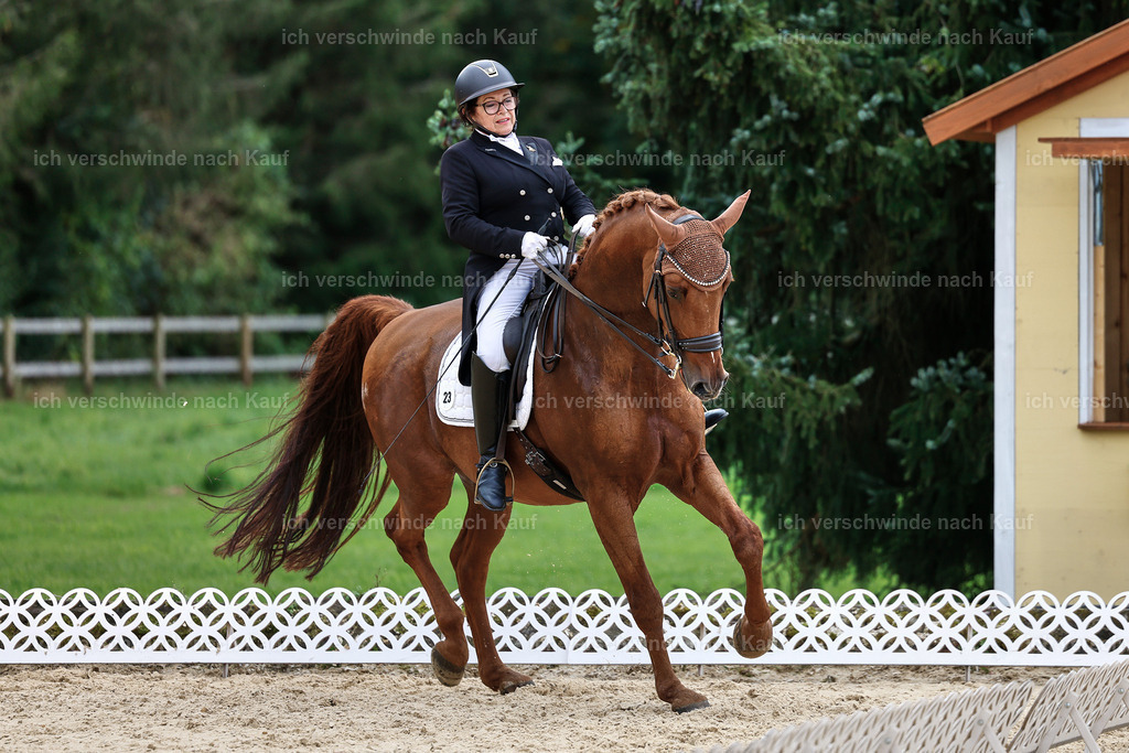 11-023-Dressur S___-StoibPH-1147 | working equitationturnier fotograf videograf stoibphotography marixx film working equitation deutschland reitsport turnierfotografie eventfotografie equestrian events