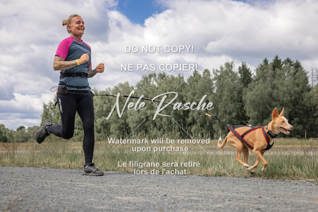 nelerasche_BuHu2026_SaCC1100-1200_181 | nelerasche